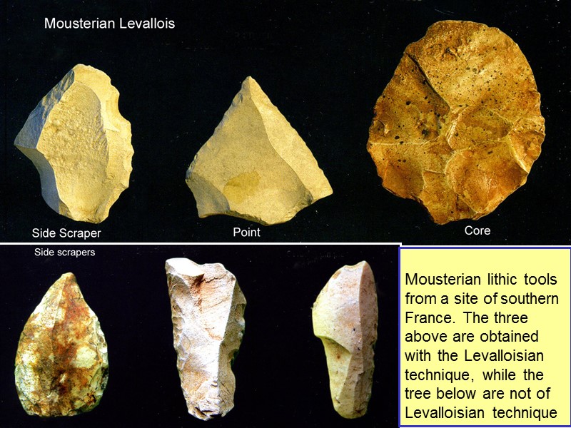 Mousterian lithic tools from a site of southern France. The three above are obtained